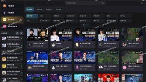 DTV：跨平台轻量级直播聚合客户端（支持斗鱼/虎牙/抖音/B站）-91杂货铺