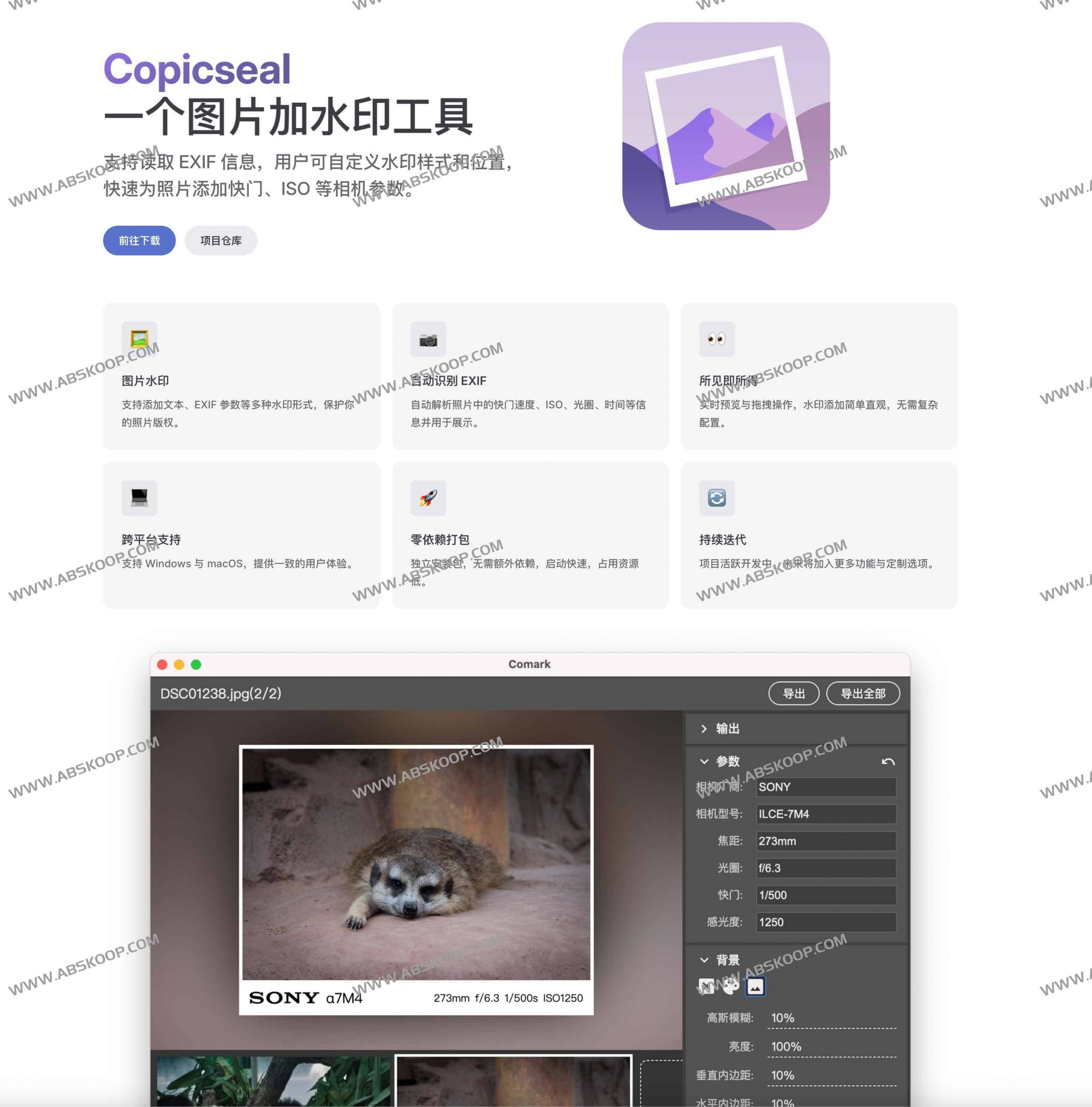 Copicseal：摄影师必备的开源图片水印工具，支持EXIF信息自动识别-91杂货铺