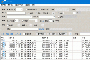 MiniRenamer_v2.2.2 批量文件重命名工具-91杂货铺
