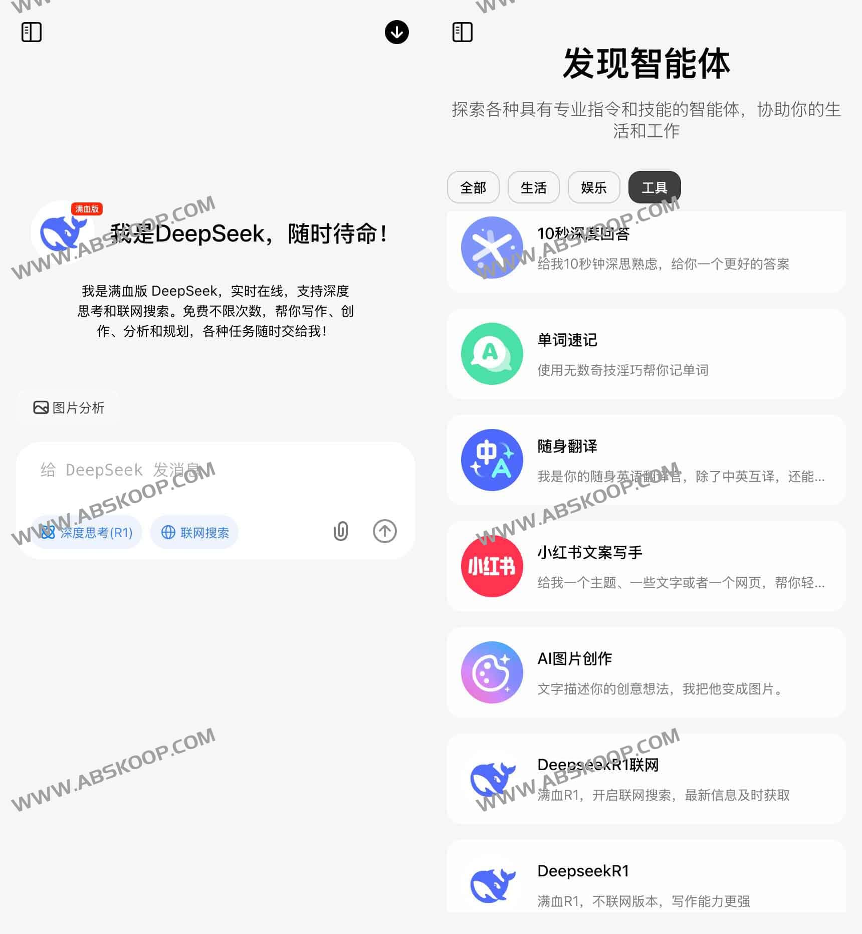 问小白：满血版DeepSee-R1 免费不限次数畅享智能写作与联网搜索-91杂货铺