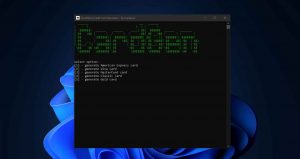 信用卡生成器-Credit Card Generator (CardGen)-91杂货铺