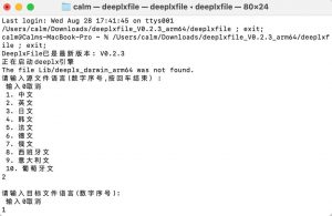 DeeplxFile：基于Deeplx提供的免费，不限制文件大小的文件翻译工具-91杂货铺