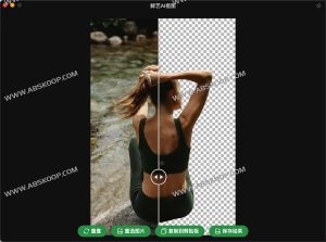 免费的AI抠图工具 毫秒级抠图 离线可用 -鲜艺AI抠图-91杂货铺