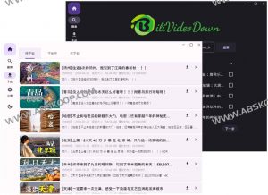 BiliVideoDown-开源 B 站视频下载器-91杂货铺