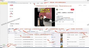 薯狗狗-小红书专业数据分析竞品账号监控工具-91杂货铺