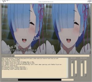 AI视频硬字幕去除工具 无损分辨率-Video subtitle remover (VSR)-91杂货铺