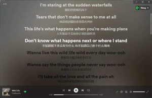 Lyricify App-提供Apple Music Spotify滚动歌词工具-91杂货铺