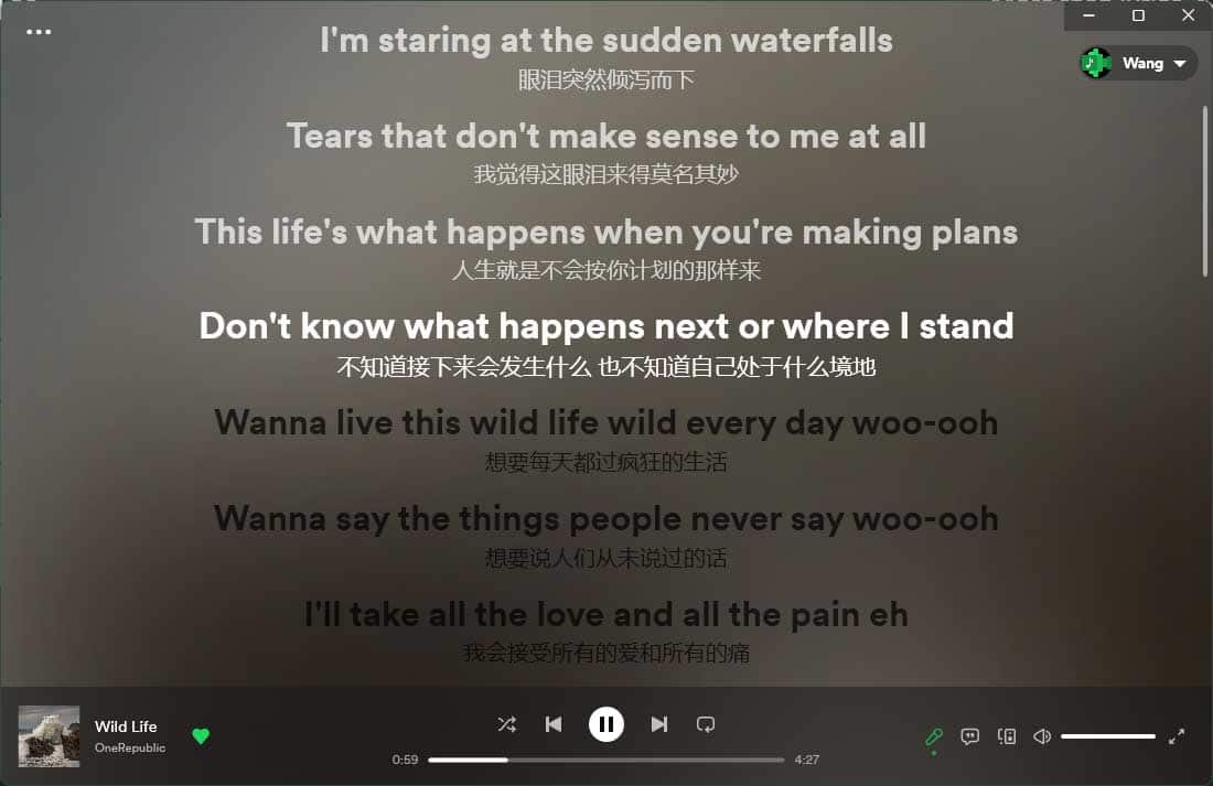 Lyricify App-提供Apple Music Spotify滚动歌词工具-91杂货铺