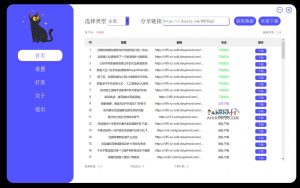 VideoCat 抖音爬取工具 一键无水印打包下载-91杂货铺
