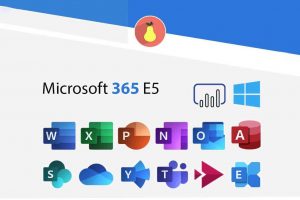 微软 Microsoft 365  E5 开发者订阅续订软件-91杂货铺