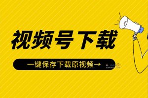 微信视频号视频下载工具：视频号嗅探下载器 v1.2-91杂货铺