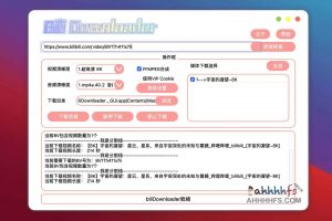 BiliBili Media Downloader：可视化B站视频下载器（支持交互视频下载）-91杂货铺