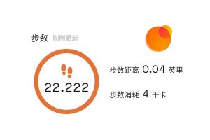 小米运动修改器 步数可同步微信支付宝等-91杂货铺