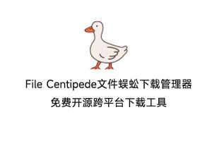 File Centipede文件蜈蚣下载管理器v1.9 免费开源跨平台下载工具-91杂货铺