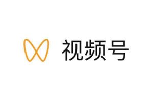 微信视频号视频下载器-91杂货铺