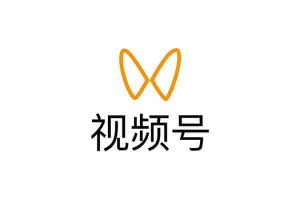 视频号视频怎么下载 免费的微信视频号视频下载工具-91杂货铺