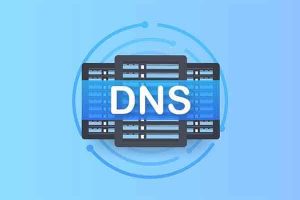 DNS优选工具｜软件-91杂货铺