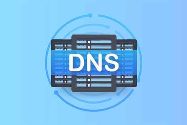 DNS优选工具|软件-91杂货铺