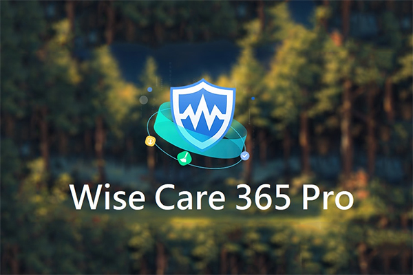 Wise Care 365 Pro v7.3.5 精简优化版绿色单文件版-91杂货铺
