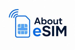 出境 eSIM 怎么选：设备兼容、流量套餐、验证码限制一次讲清-91杂货铺