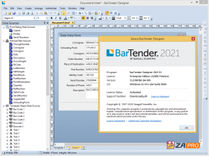 条码标签打印软件 BarTender Designer 2021 R1 Enterprise v11.2 企业自动化版-91杂货铺