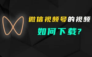 微信视频号下载工具：vso下载器-91杂货铺