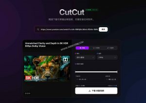 CutCut深度评测：重塑4K视频素材管理与精准剪辑工作流 (2026专业版)-91杂货铺