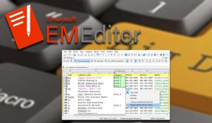 EmEditor 永久激活码-91杂货铺