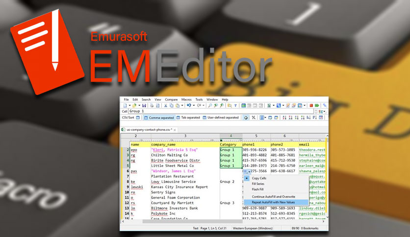 EmEditor 永久激活码-91杂货铺
