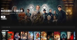 冬瓜TV MAX：开源私有流媒体聚合平台，TMDb 智能刮削打造你的私人 Netflix-91杂货铺