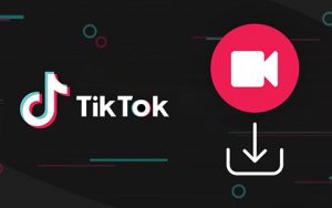 海外版抖音下载器:TikTok Downloader v3.3.5 破解版-91杂货铺