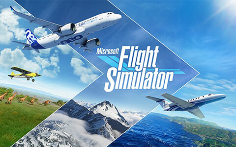 微软飞行模拟 Microsoft Flight Simulator HOOD 镜像版（含汉化包）-91杂货铺
