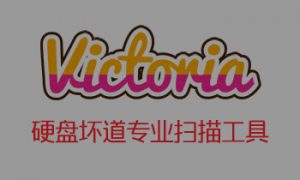 专业硬盘坏道扫描工具 Victoria 5.28 中文绿色版-91杂货铺