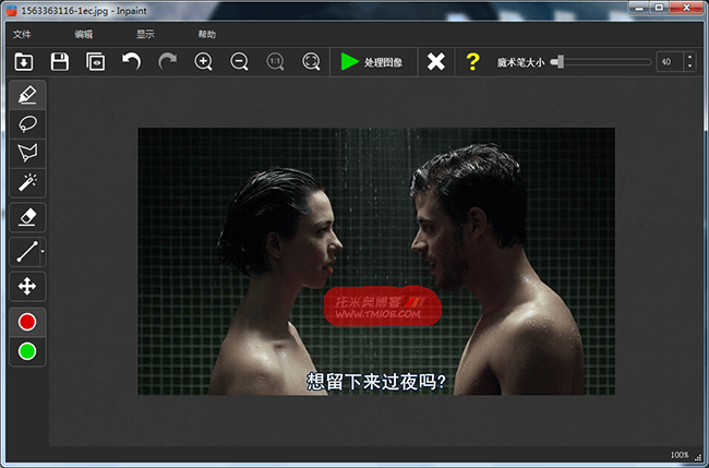 图片去水印软件:Teorex Inpaint v8.0 绿色破解版