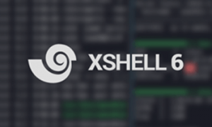 Xshell Plus v6.0 永久授权中文绿色版-91杂货铺