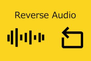 Audio Reverser Free Online：免费在线音频反转工具 实时反转、隐私安全、专业级音质-91杂货铺