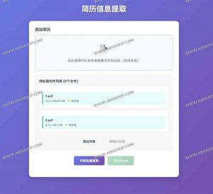 简历信息提取器：批量解析PDF简历，一键导出Excel，提升HR筛选效率-91杂货铺